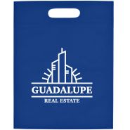 Heat Sealed Non&acirc;��Woven Exhibition Tote