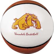 Mini Signature Basketball