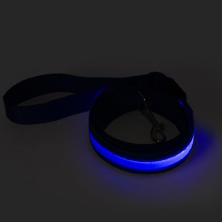 Rechargeable LED Light-Up Dog Leash 1