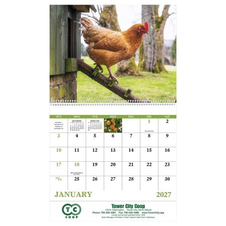 Agriculture - Spiral 2