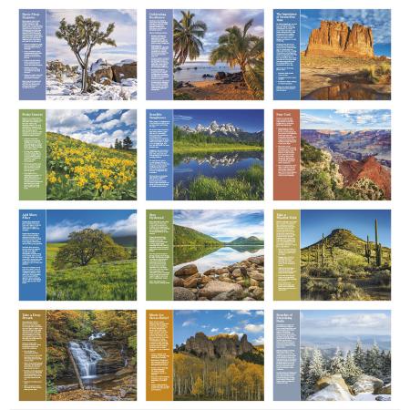 Healthy Living - Spiral 2