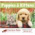 Puppies & Kitstens - Stapled Thumbnail 1