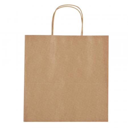 Kraft Paper Brown Bags With Brown Print 1