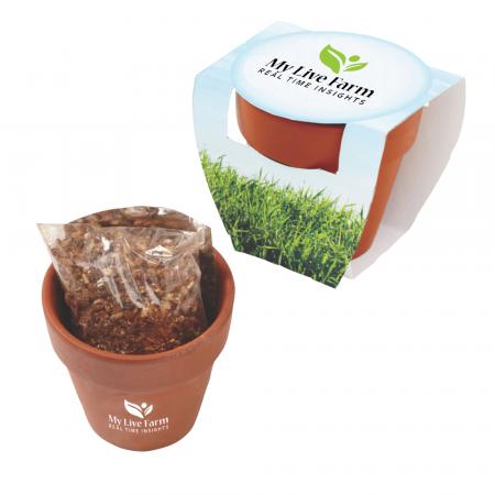 Seed Sensations Terracotta Pot 1