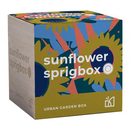 Sprigbox Sunflower Grow Kit 1