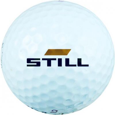Titleist Pro V1 Refinished Golf Balls