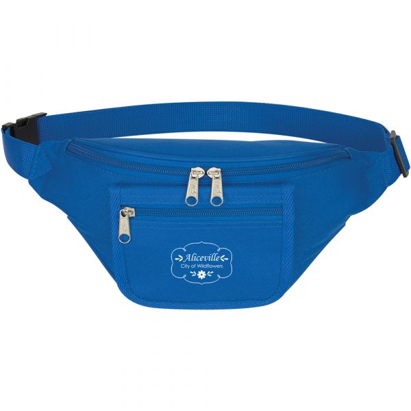 Fanny Packs With Organizers Thumbnail