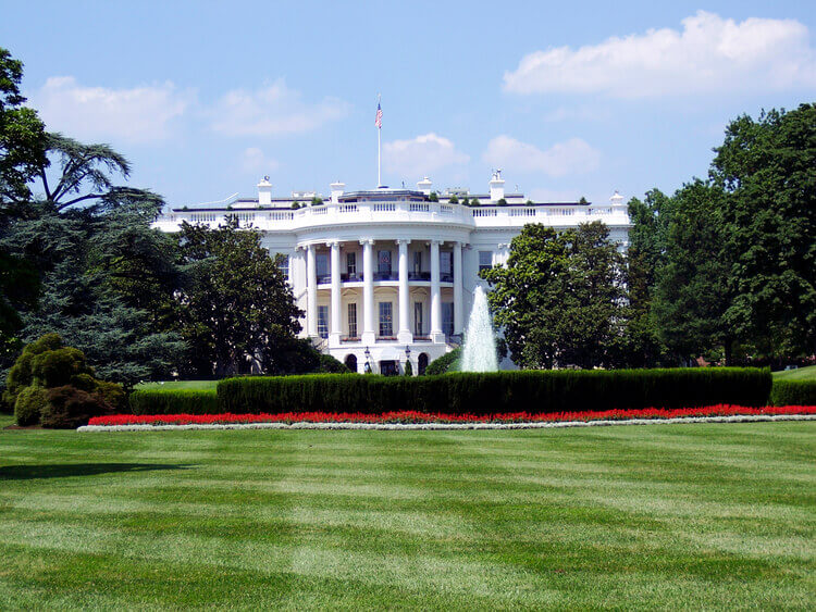 white house lawn